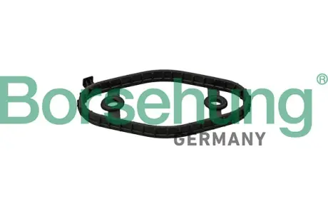 Ущільнення, кришка голівки циліндра borsehung B12975