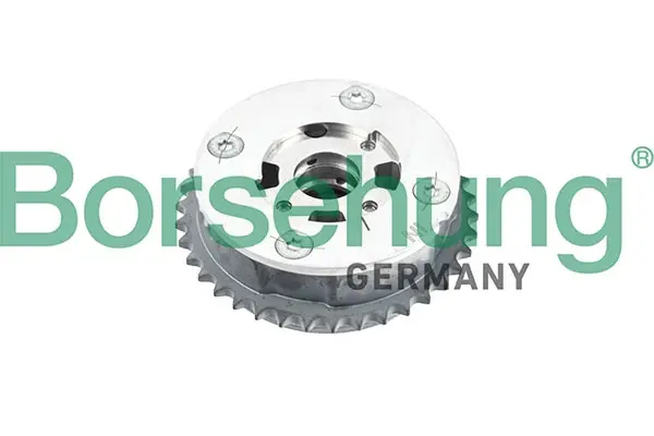 Фазорегулятор BMW N20 Borsehung B12992 (фото 1)