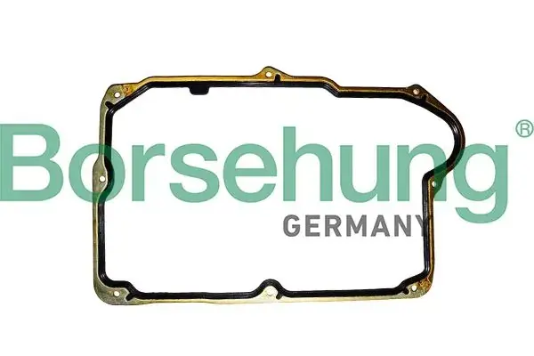 Ущільнення borsehung B13266