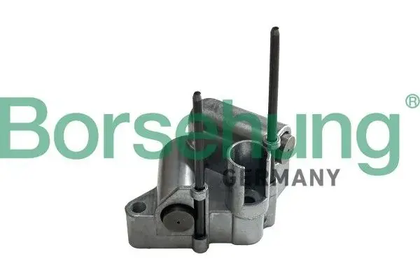 Натягувач ланцюга ГРМ borsehung B13313