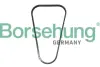 Ланцюг ГРМ borsehung B13342