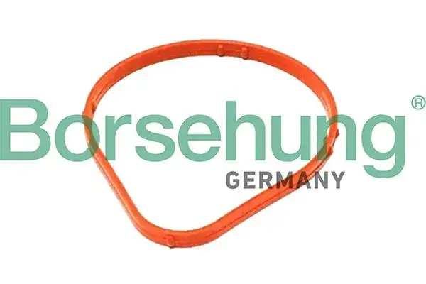 Ущільнення borsehung B13359
