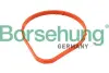 Ущільнення borsehung B13359