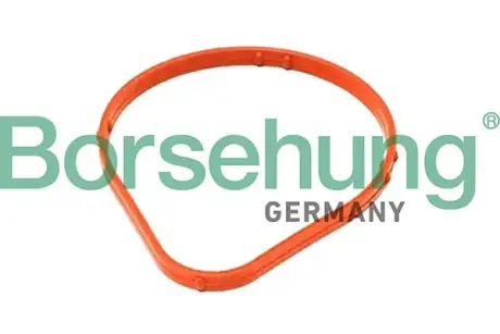 Ущільнення borsehung B13359
