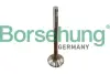 Клапан двигуна EX borsehung B13380