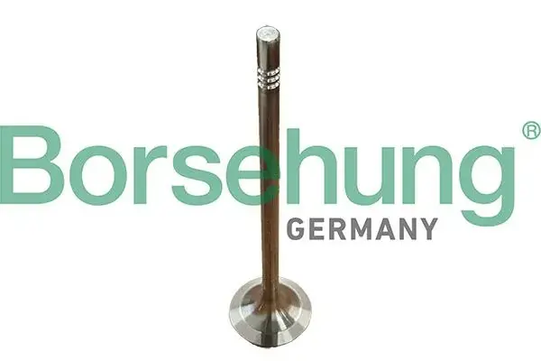 Клапан двигуна EX borsehung B13382