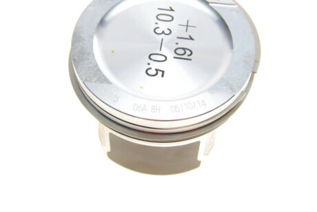 Поршневые кольца borsehung B16955