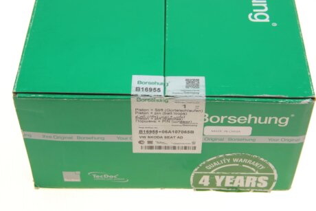 Поршневые кольца borsehung B16955