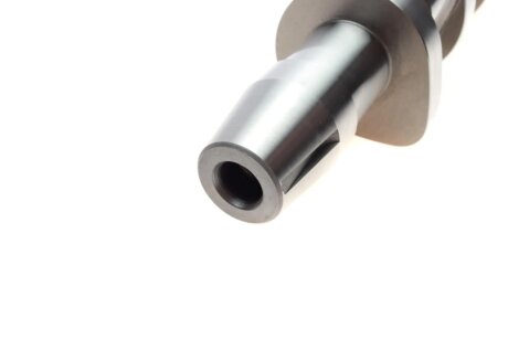 Вал розподільчий (OE) borsehung B17861