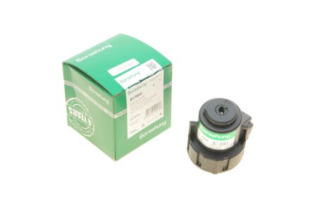 Вимикач запалювання (OE) borsehung B17994