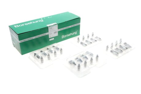 Гідрокомпенсатори 16*16 030109423+036109411E borsehung B18205