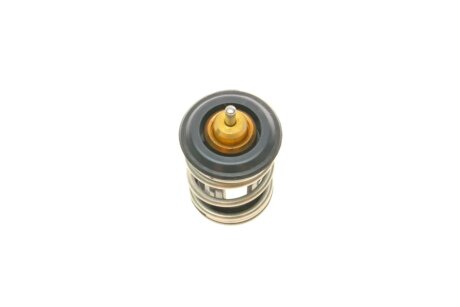 Термостат 86 C (OE) borsehung B18261