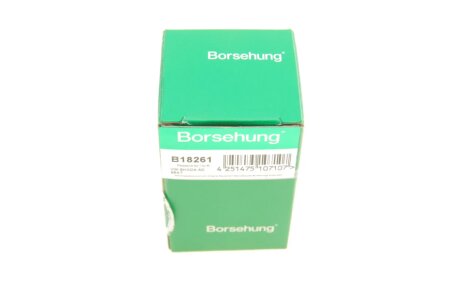 Термостат 86 C (OE) borsehung B18261