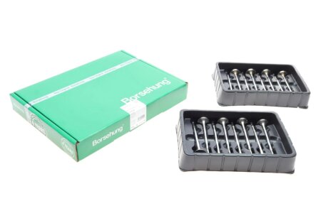 Клапан впускний (к-кт 8*8) borsehung B18628