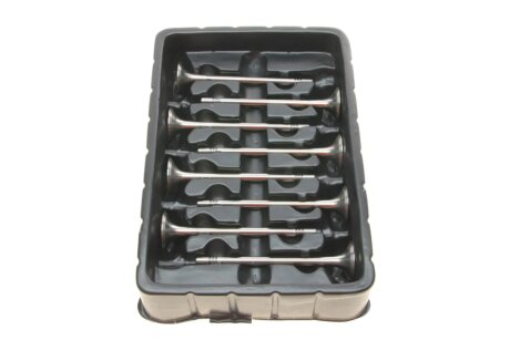 Клапан borsehung B18629