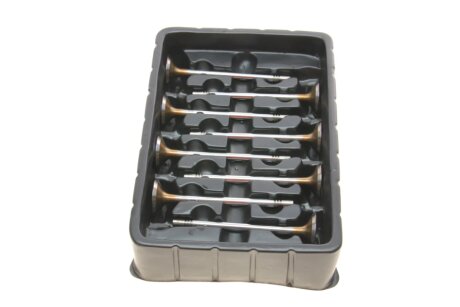 Клапан borsehung B18629