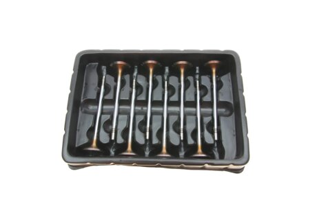 Клапан borsehung B18629