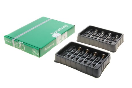 Клапан borsehung B18629