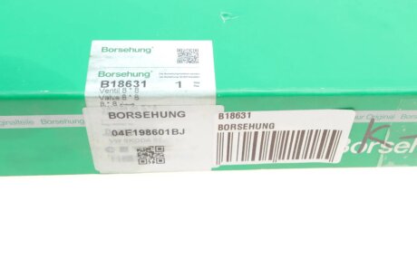 Клапана к-кт 8*8 (04E109601+04E109611L borsehung B18631