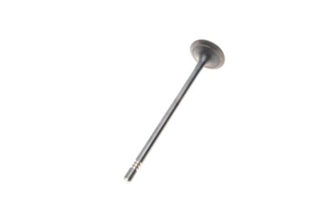 Клапана к-кт 8*8 (04E109601+04E109611L borsehung B18631