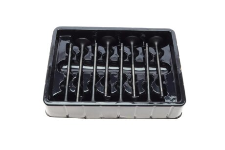 Клапана к-кт 8*8 (04E109601+04E109611L borsehung B18631