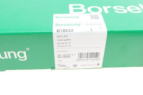 Клапана к-кт 8*8 (04L109601H+04L109611 borsehung B18633