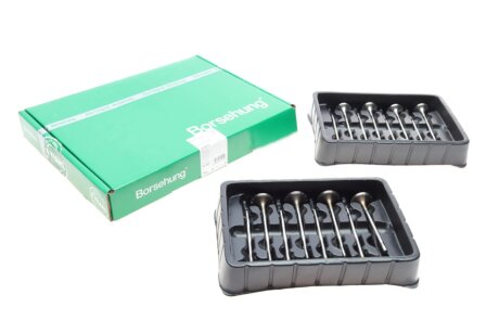 Клапана к-кт 8*8 (04L109601H+04L109611 borsehung B18633