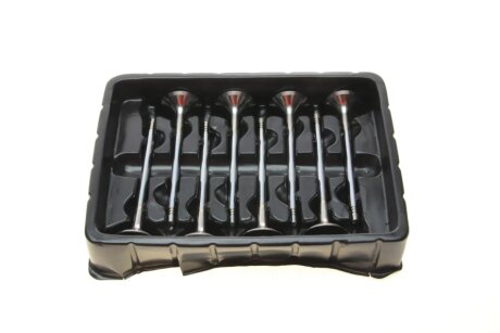 Клапан впускний (к-кт 12*8) borsehung B18635