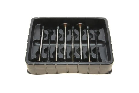 Клапан впускний (к-кт 12*8) borsehung B18635