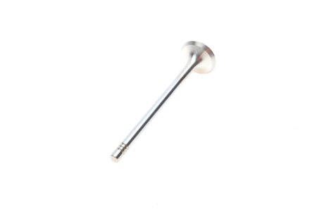 Клапан впускний (к-кт 8*8) borsehung B18637