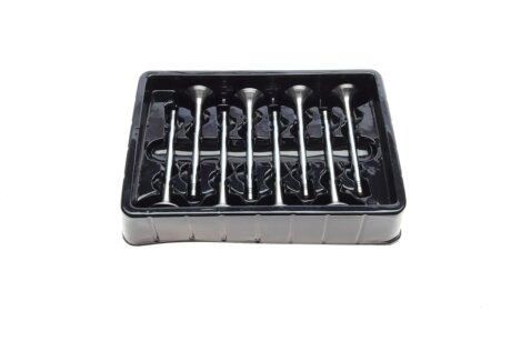 Клапан впускний (к-кт 8*8) borsehung B18637