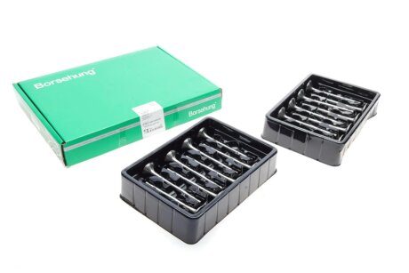 Клапан впускний (к-кт 8*8) borsehung B18637