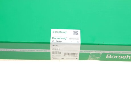 Клапан borsehung B18640