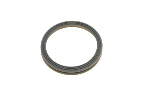 Захист (OE) borsehung B18676