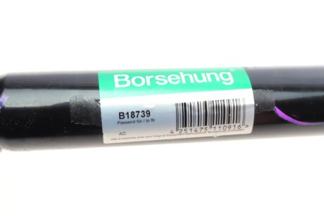 Вал приводу (GKN) borsehung B18739