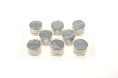 Гідрокомпенсатор borsehung B18959