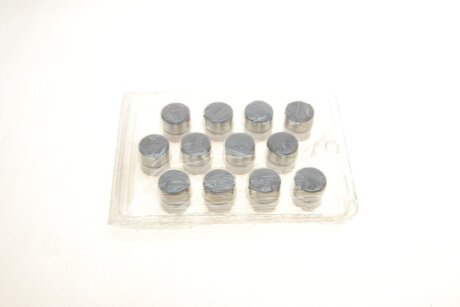 Гідрокомпенсатор borsehung B18959