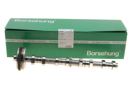 Вал розподільчий borsehung B18979