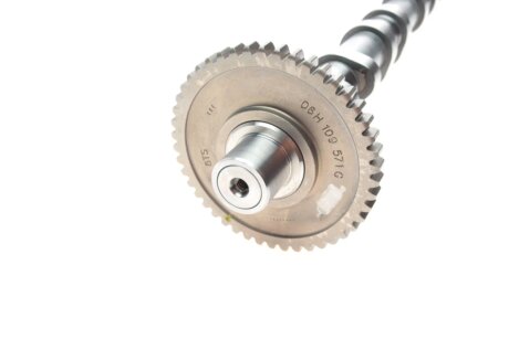 Вал розподільчий borsehung B18980