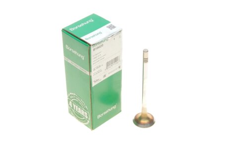 Клапан borsehung B19020