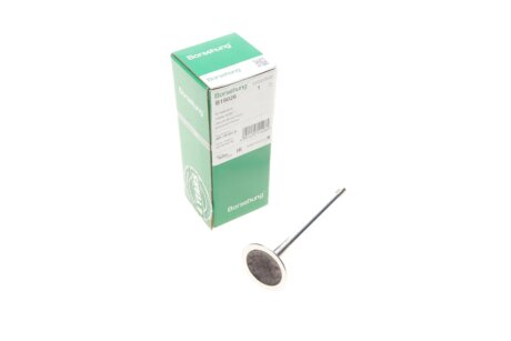 Клапан borsehung B19026