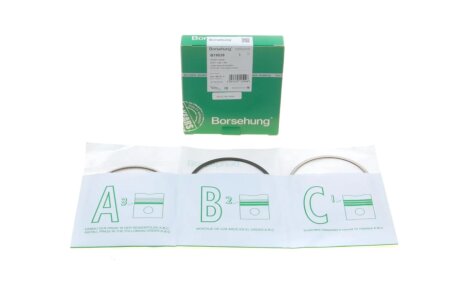 Поршневые кольца borsehung B19039