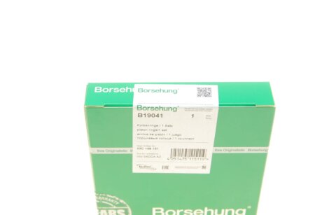 Поршневые кольца borsehung B19041