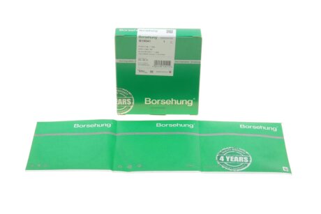 Поршневые кольца borsehung B19041
