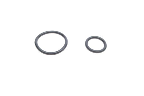 Помпа водяна в зборі з патрубками та кріпленням borsehung B19130