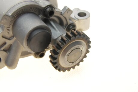 Помпа оливна (к-кт з ланцюгом та аксесуарами) borsehung B19140