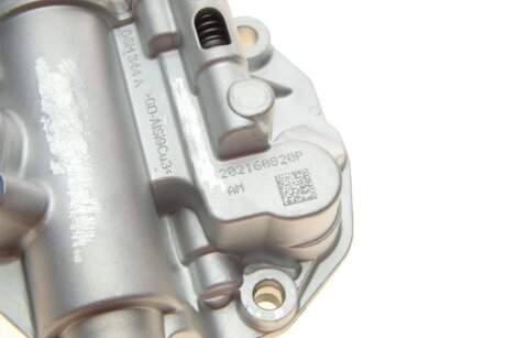 Помпа оливна (к-кт з ланцюгом та аксесуарами) borsehung B19140