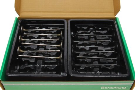 Клапана к-кт 8*8 (04E109601+04E109611L) (OE) borsehung B19160