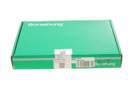 Клапана к-кт 8*8 (04E109601+04E109611L) (OE) borsehung B19160