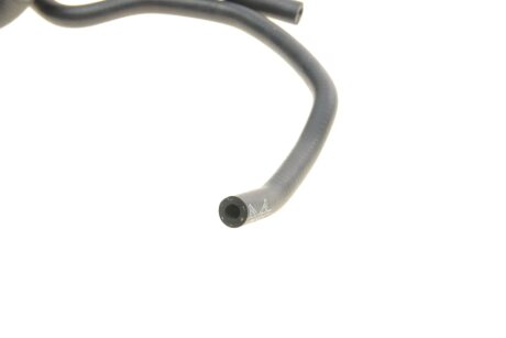 Патрубок радіатора borsehung B19180